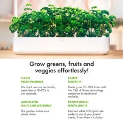 Click & Grow Smart Garden 3 -Macys Shop 28788 2