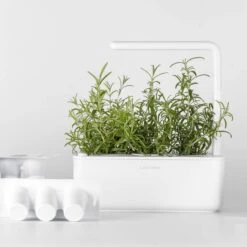 Click & Grow Smart Garden 3 -Macys Shop 28788 4