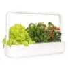 Click & Grow Smart Garden 9 -Macys Shop 28789