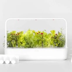 Click & Grow Smart Garden 9 -Macys Shop 28789 4