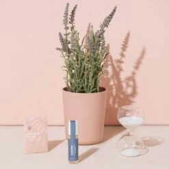 Modern Sprout Seek Peace Lavender Gift Set