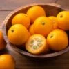Citrus 'Fukushu' Kumquat Tree -Macys Shop 29502