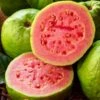 Psidium 'Tropical Pink' Guava -Macys Shop 29509