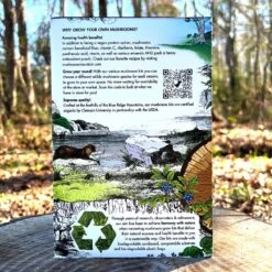 Mushroom Blue Oyster Countertop Kit -Macys Shop 31020 2