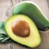 Persea Avocado 'Wurtz' -Macys Shop 37277