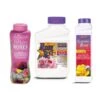 Rose Solutions Kit -Macys Shop 37336