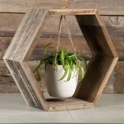 Hanging Spider Plant - Wood Frame -Macys Shop v2546 2